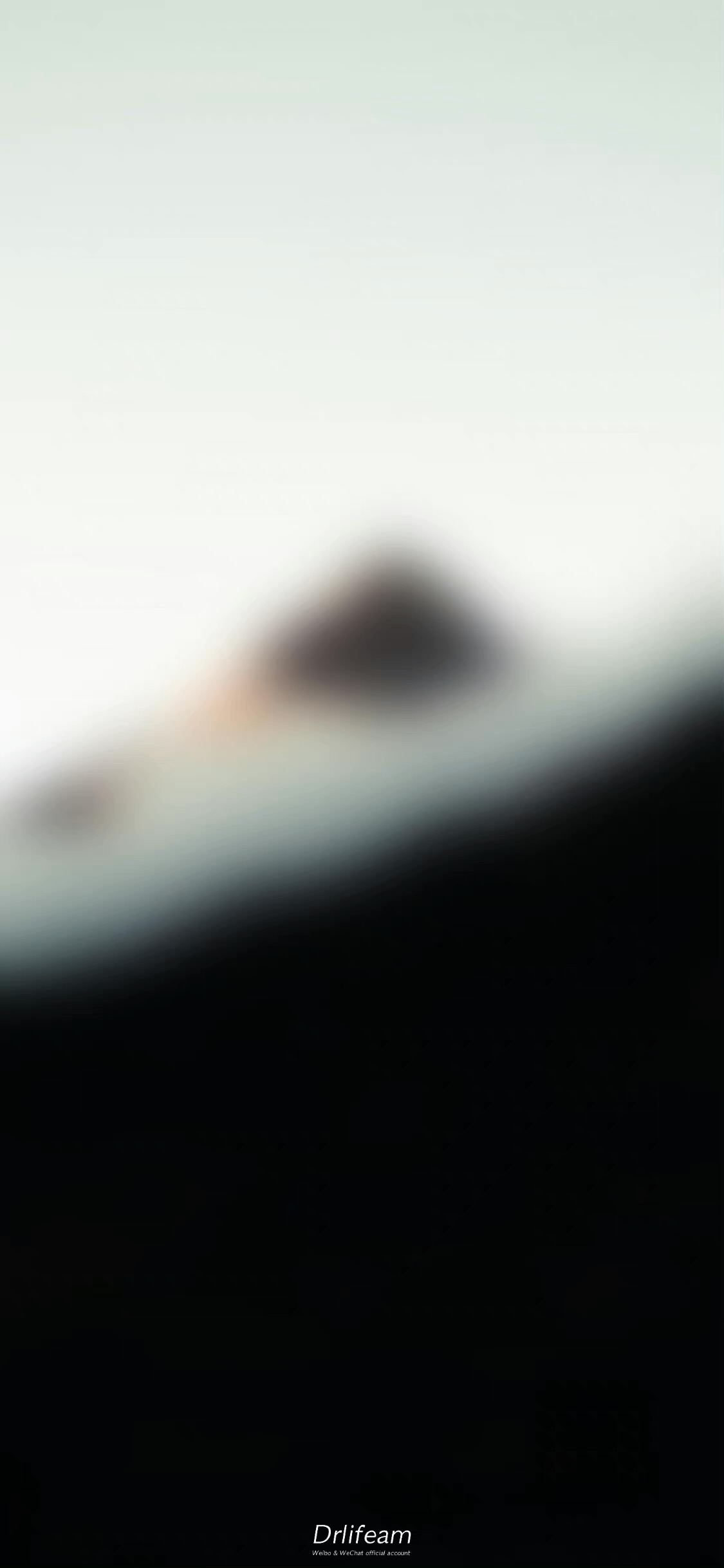 IMG_4643.jpeg